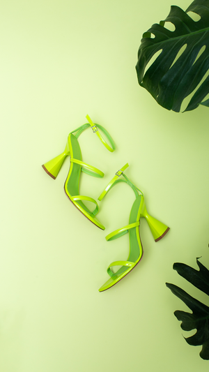 Zomp 2025 factory outlet