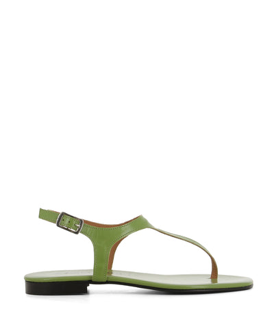 A chic and simple green leather sandal that has an ankle strap with a silver buckle fastening and features a short block heel and an open square toe by 2 Baia Vista